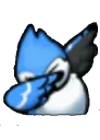 Bluejay_dab Bluejay_dab
