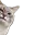 590803463915700225