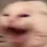 845913016444518410