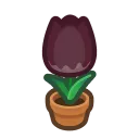 hc_01_tulip