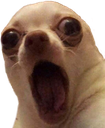 woooo Discord emoji