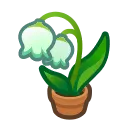 hc_01_lilyofthevalley