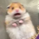 pa pa