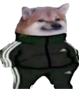 DogeTriPoloski Discord emoji