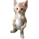 michael Discord emoji