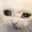cat_cringe