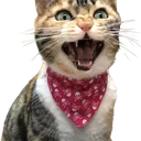 HappyCookie