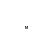 TakoThicc