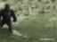 rillarun