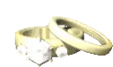 animatedringimage0031 animatedringimage0031