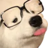 SmrtBoye SmrtBoye