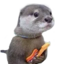 otterguitar