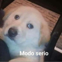 hk_moodserio Discord emoji