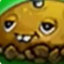 potato