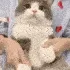 tudouDance
