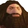 hagrid hagrid