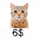 6_dollar_cat