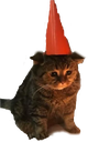 BirthdayKitty Discord emoji