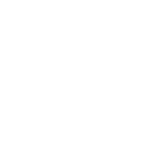 server_logo Discord emoji