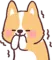 corgihehe corgihehe