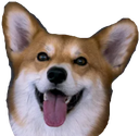realEin Discord emoji