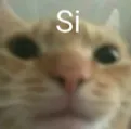 LER_sii LER_sii