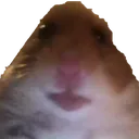 LER_unhamsterxd