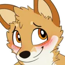 dingo_blush dingo_blush