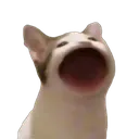 psPopcatOpen Discord Emoji