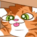 cat_box cat_box