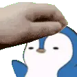 SlowPetBaby
