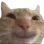 uwu2
