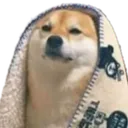 timefall_norm_doggoblanket