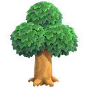 hardwood