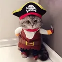 Piratecat Discord Emoji
