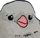 burb