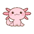 axolotlcutie