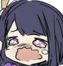 RaidenCry