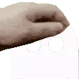 pettheghost