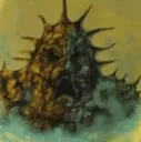 Oldmidium