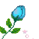 pe_roselightblue