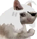 SADDERGEEG