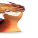 longchurbo3