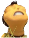 HONEY_NUT