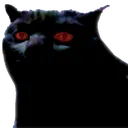 catseriouscursed