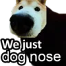 wejustdognose wejustdognose