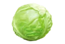 cabbage