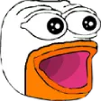 pelicanpog pelicanpog