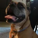 Athena Happy Discord Emoji