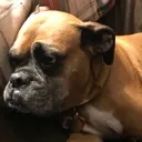 AthenaSad Discord Emoji